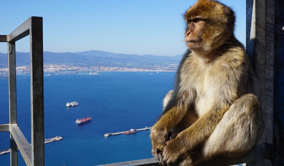 Excursión de 1 día a Gibraltar con salida de Cabanas de Tavira